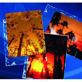 HOJAS CLEAR-FILE 38-B (10H) FOTO 20X25 (8X10) TRANSPARENTES