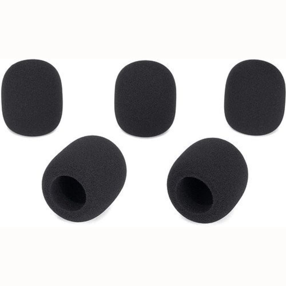 ANTIVIENTO SAMSON WS1